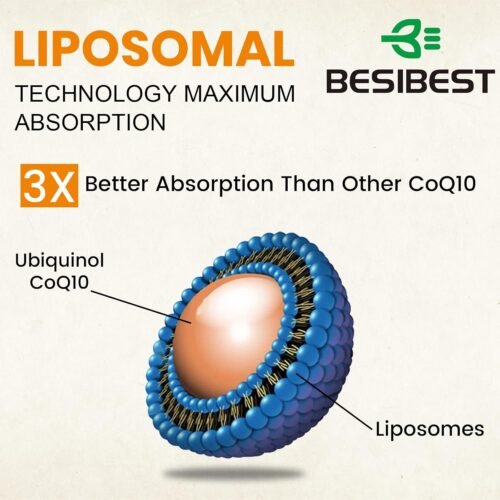Ubiquinol Liposomal Vegano 1000 mg | CoQ10 Activa | 60 cápsulas vegetarianas | Alta absorción - Imagen 5