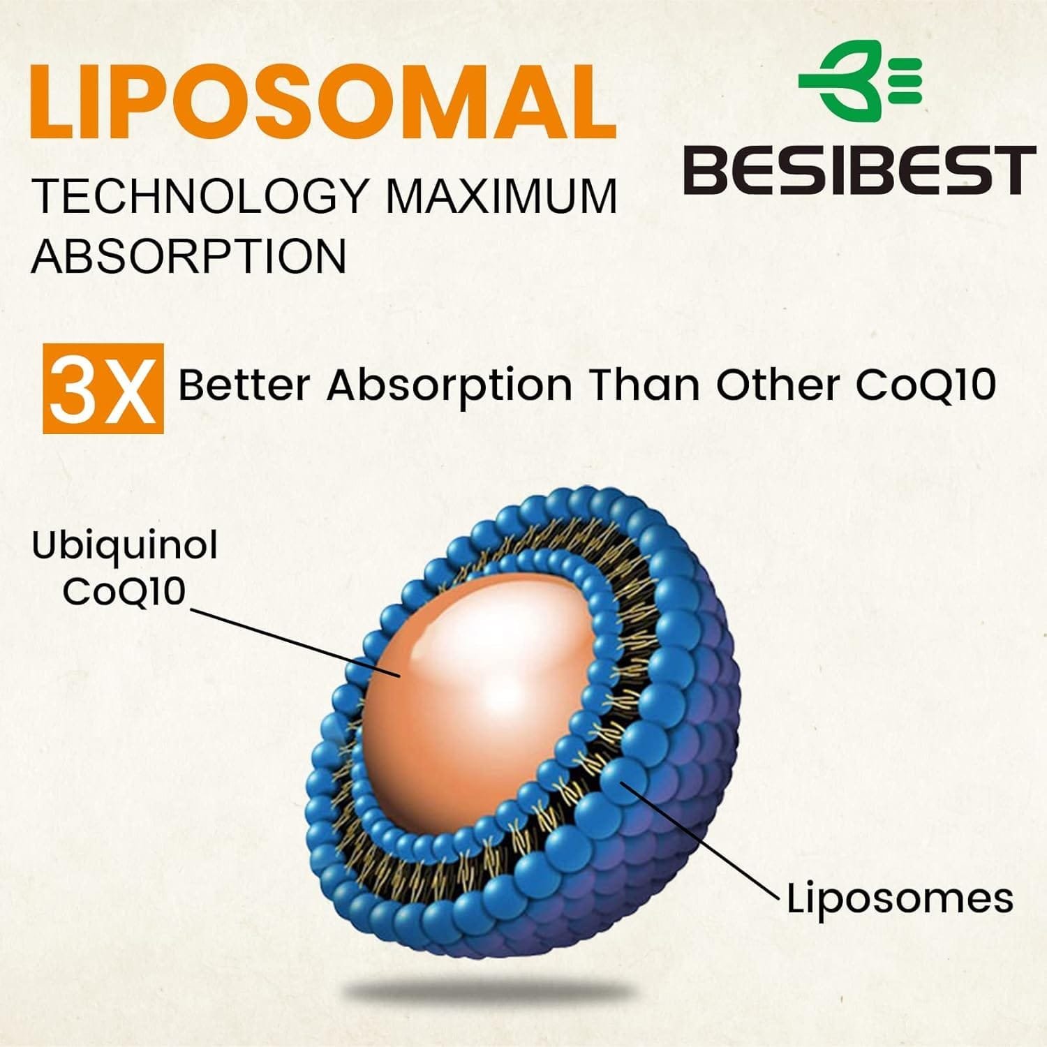 Ubiquinol Liposomal Vegano 1000 mg | CoQ10 Activa | 60 cápsulas vegetarianas | Alta absorción - Imagen 5